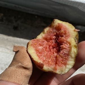 Meet your Posher, Avery